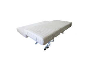 Transfer Master Companion Hospital Bed Frame