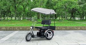 Afikim Afiscooter SE Mobility Scooter