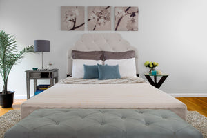 Transfer Master Supernal 3 Hi-Low (Head, Foot, Hi-Low, Massage, Wallhugger) Hospital Bed Frame