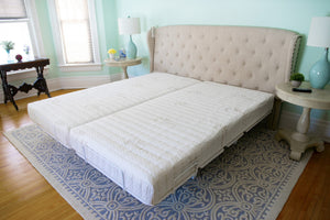 Transfer Master Companion Hospital Bed Frame