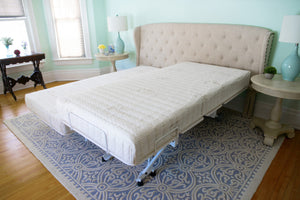 Transfer Master Companion Hospital Bed Frame