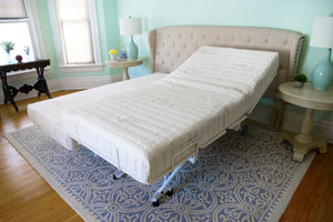 Transfer Master Companion Hospital Bed Frame